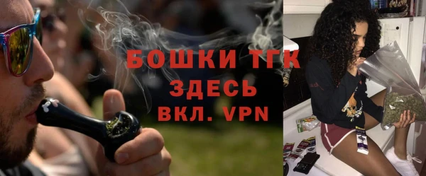 прущий лед Богданович