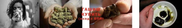 стафф Бронницы
