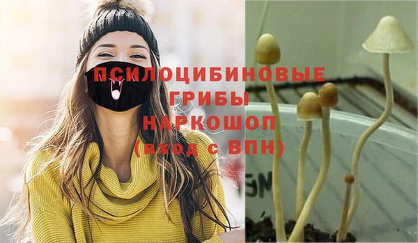 ешки Бугульма