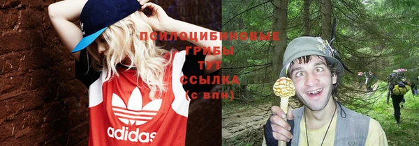 ешки Бугульма