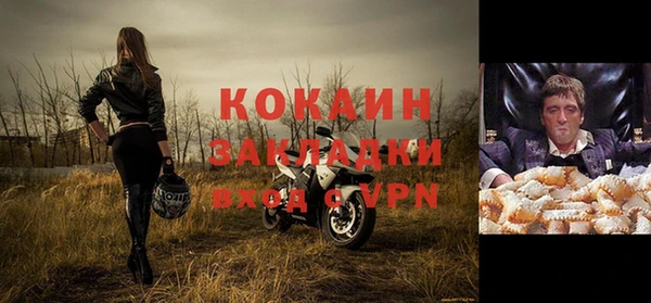 шишки Семёнов