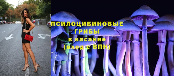 стафф Бронницы