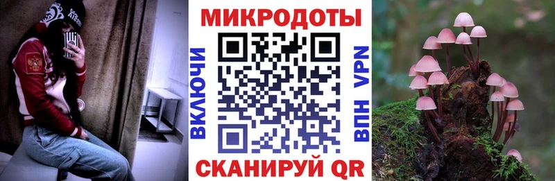 продажа наркотиков  Ельня  Псилоцибиновые грибы мицелий 